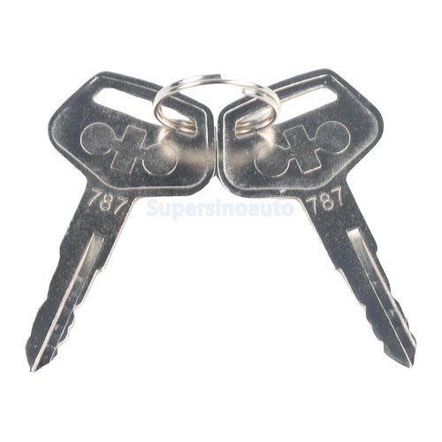 2pc 787 ignition keys - keys, for